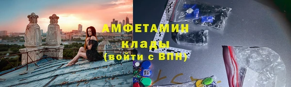 сатива Вяземский