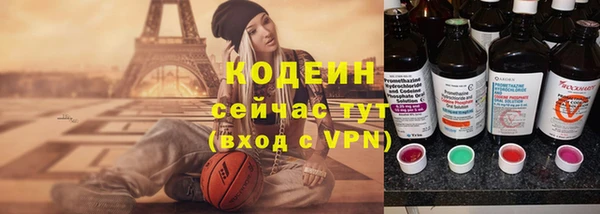 сатива Вяземский