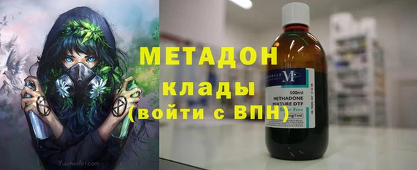 сатива Вяземский