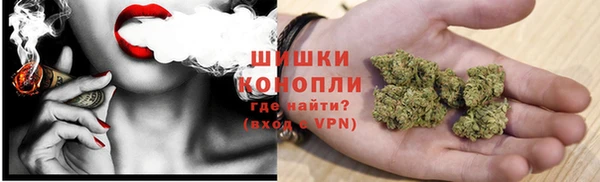 сатива Вяземский