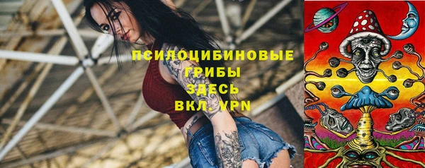 сатива Вяземский