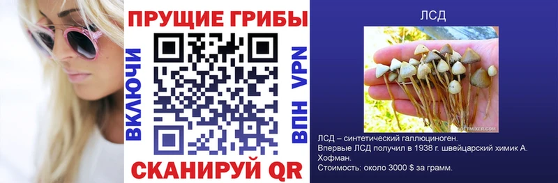 Галлюциногенные грибы GOLDEN TEACHER Махачкала